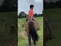 Download Lagu Trail ride | horse riding | hacking my pony | Ronnie’s Equine Siblings
