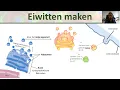 Celorganellen - ER, Golgi systeem en meer - Binas 79 D - Inleiding biologie #2