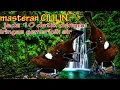 Download Lagu MASTERAN CILILIN SUARA BENING DENGAN JEDA GEMERICIK AIR, BIKIN BURUNG CEPAT TANGGAP