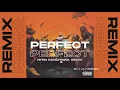 Lagu Perfect Remix - Eminem, Kendrick Lamar, J. Cole, Logic, JID [Nitin Randhawa Remix]