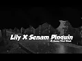 Download Lagu Dj Lily X Melody Senam Pinguin ( Dj Santuy )
