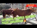Download Lagu ‼️SAPI BAKALAN HARGA EKONOMIS‼️PASAR SANGGRAHAN🔥🔥