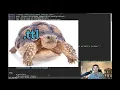 Turtle Syntax