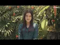Kesayanganku - Al Ghazali