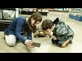 Premier Pet Supply If Your Pet Could Tell You