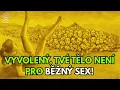 Download Lagu Vyvolení bohem: Tvé tělo nebylo stvořeno pro obyčejný sex – je to posvátný chrám
