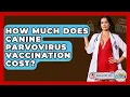 How Much Does Canine Parvovirus Vaccination Cost - Ask A Pet Vet
