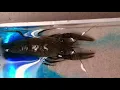 crayfish breathing visual with blue dye Crayfish Breathing demo with blue dye