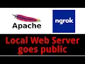 How to make your local apache web server accessible over the internet in 30 seconds using ngrok