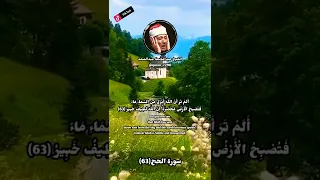 الشيخ عبد الباسط عبد الصمد حالات واتس اب دينية قصيرة قران كريم تلاوة خاشعة ومؤثرة بصوت جميل جدا 