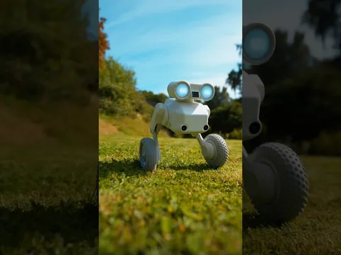 The All Terrain Camera Robot #shorts