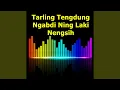 Download Lagu Tarling Tengdung Ngabdi Ning Laki Nengsih