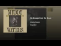 No Escape from the Blues