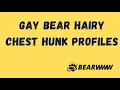 Gay Bear Chub Cub Daddy Profiles App