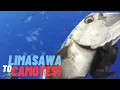 Download Lagu Doggies and Macs! Limasawa to Camotes | a Local Legend Val Robledo | Boatlife E8