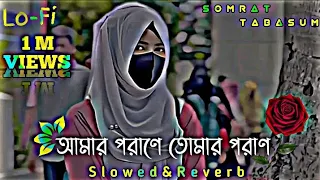  amar porane tomer poran slowed reverb bangla romantic lofi music