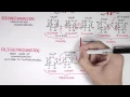 Biochemistry of Carbohydrates