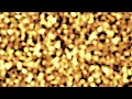 Trapcode FORM Tutorial Gold Screen Motion Background In After Effects After Effects Tutorial