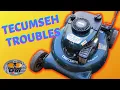 Full Service Tecumseh Engine on Older Craftsman Mower