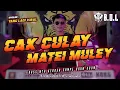Download Lagu CAK CULAY MATEI MULEY ALA AYENG ADI BUJANG ORGEN LAMPUNG || BUJANG ORGEN LAMPUNG 2022
