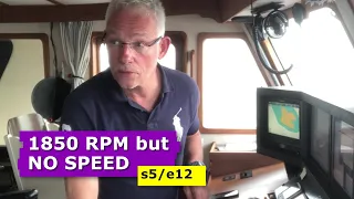 What is your definition of beauty? s5/e12