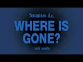 Fontaines D.C. - Where Is Gone? (with Rosalía)