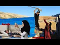 Download Lagu Viral Nomadic Documentary : A Nomadic Woman Poisoned Her Love Rival!