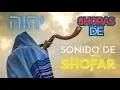 8 HORAS DE SONIDO DE SHOFAR PARA GUERRA ESPIRITUAL #shofar #guerraespiritual #yahweh #worship