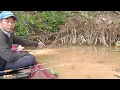 Download Lagu Akar Pohon Berjuntai Pinggir Sungai Menjadi Sarang Udang Galah Besar || Mancing udang galah monster 