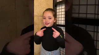 لااا بدنا نروق هيفا وهبي     دندنها