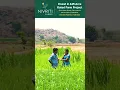 Download Lagu Savaari || BTS #ramurathod  \u0026 Bittu #srinidhi \u0026 #sumanbadanakal #folksongs2024