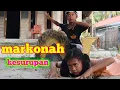 Download Lagu MARKONAH KESURUPAN KUDA LUMPING