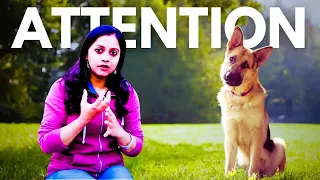 Download What Is the Power of Attention  Meditate with IGG Sanju to Learn the Power of Your Attention MP3