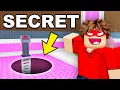 Download Lagu I Built A SECRET BASE in a GIRLS ONLY SERVER In Steal A Brainrot!!