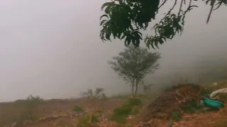 غيوم ومطر على بلادي 