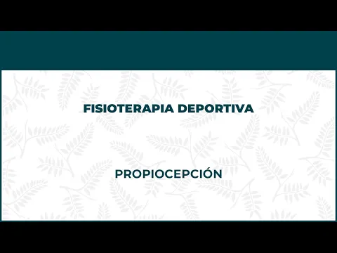 PROPIOCEPCION   FISIOTERAPIA DEPORTIVA