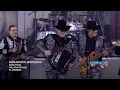 Enigma Norteño Ft. Edicion Especial - Serafin Zambada (En Vivo 2023)