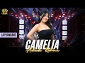 Lagu CAMELIA - ADINDA RAHMA - SERA LIVE BINUANG KALSEL