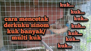 Download cara mencetak derkuku sinom kuk banyak multi kuk MP3