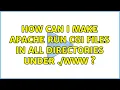 Ubuntu How can I make apache run cgi files in all directories under www