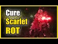 How to Cure Scarlet Rot with Flame Cleanse Me Spell Boluses Elden Ring Tutorial