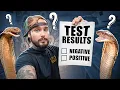 DEADLY Snake Virus TEST RESULTS