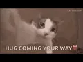 hug gif