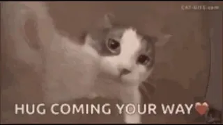 hug gif