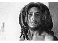 BOB MARLEY DREADS