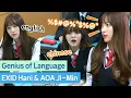 Download Lagu Genius of Language, EXID Hani \u0026 AOA Jimin!
