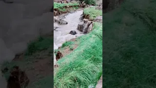 قالوا حبيبك بعيد قلت المحبة تزيد 