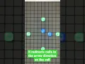 Redirector Tutorial celLua