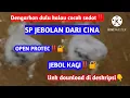 Download Lagu SP JEBOLAN DARI CINA‼️SP YANG DI BURUH PARA PETANI WALET‼️