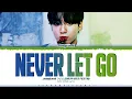 Download Lagu Jung Kook 'Never Let Go' Lyrics [2024 BTS FESTA] (정국 Never Let Go 가사) [Color Coded_Eng]